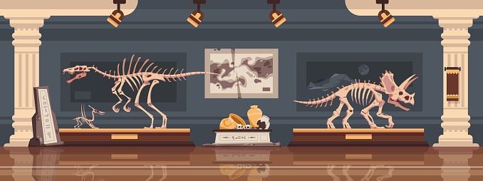 Museum interior. Paleontological exhibition with prehistoric ancient dinosaur skeleton. Dino fossils and archaeological discoveries. Historical artefacts and sculls on pedestals. Vector science room