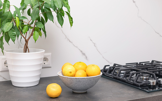 Fresh citrus fruits in a ceramic bowl and indoor ficus plant on a dark countertop. Kitchen at modern house. copy space