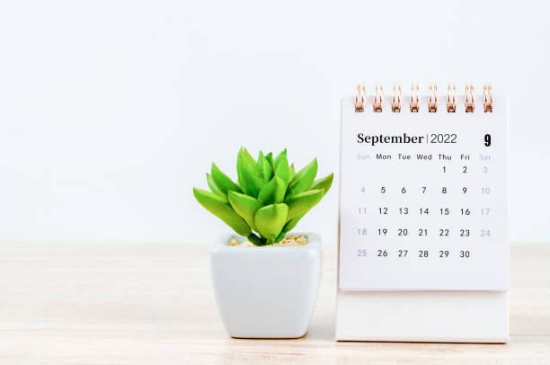 istock September 2022 desk calendar on wooden table. 1353211912