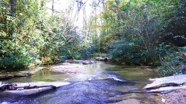istock Head on water flowing through creek two 1353212715
