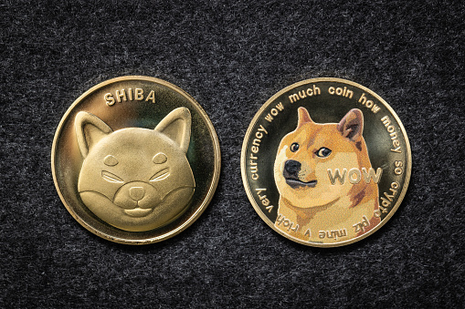 Physical Shiba Inu cryptocurrency coin next to a Dogecoin