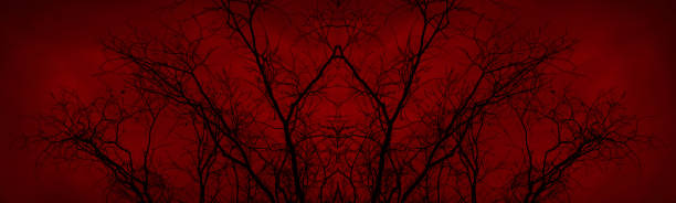 istock Black bare tree branches against the background of a blood-red sky. Horror, nightmare, spooky concept. 1353216751