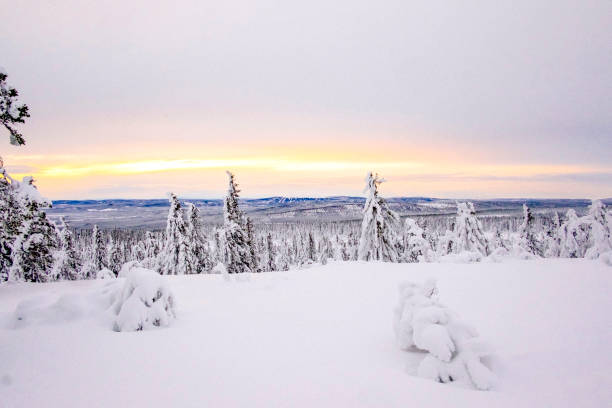 istock Sunset behind snow covered pinewood trees. 1353216781