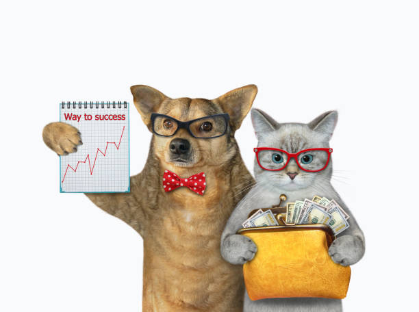 istock Cat ashen and dog make money 1353216828