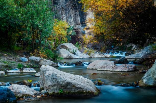 istock natural swimming pool area in the river canyon 1353217016