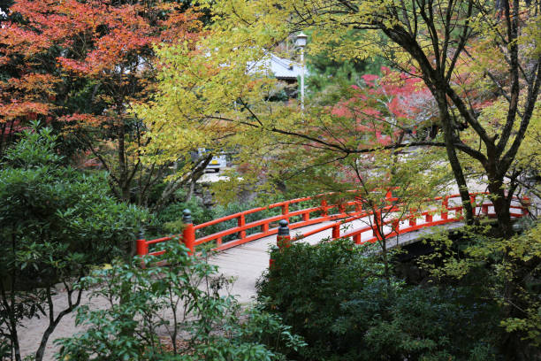 istock Miyajima, Momijidani Park in autumn 1353217851
