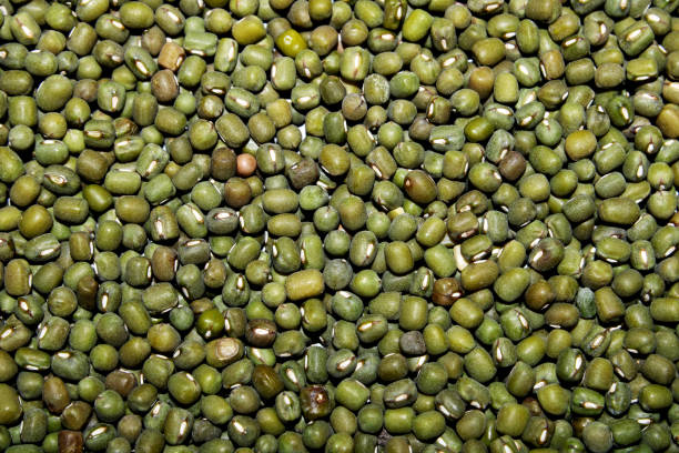 istock Close-up view of the Mung Beans. 1353217998