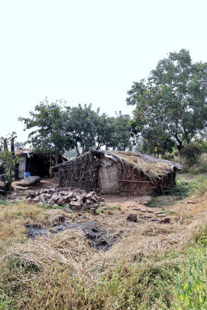istock Tribal Village 1353220697