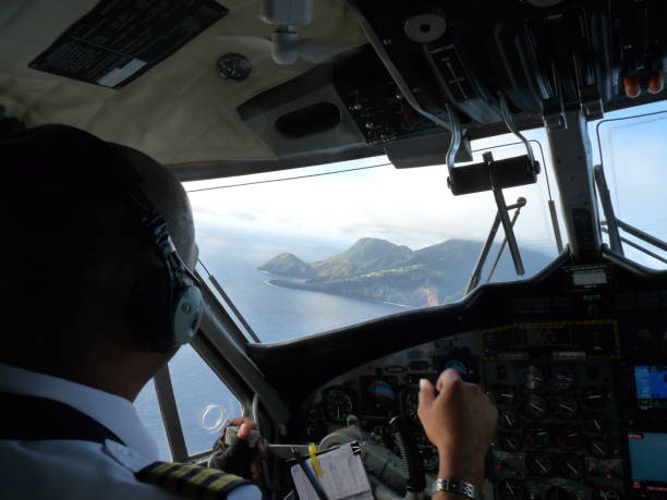 piloto no cockpit com saba na janela - vista da cabina - fotografias e filmes do acervo