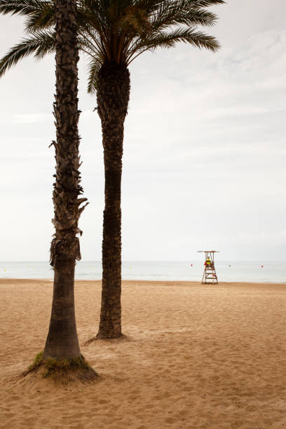 istock lifeguard stand on the beach 1353225461