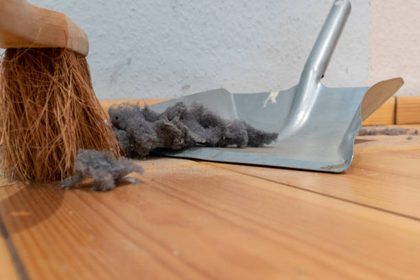 istock Dust on a house floor with dustpan background. Home cleaning concept. 1353228195