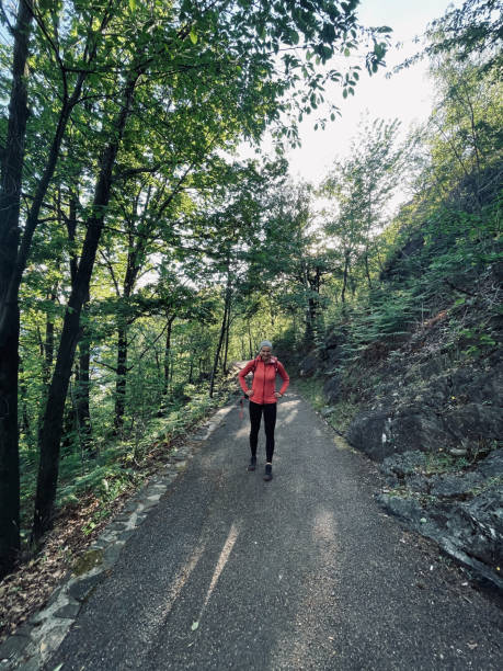 istock Young woman hikes through autumnal forest 1353229231