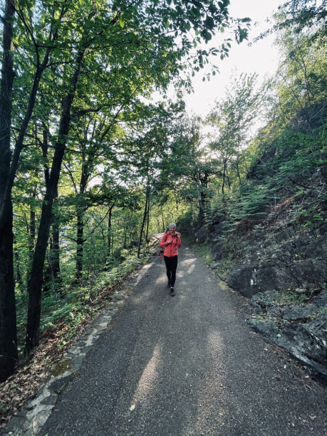 istock Young woman hikes through autumnal forest 1353229238