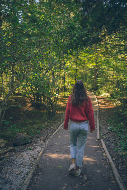 istock Young woman follows trail through lush forest 1353229241