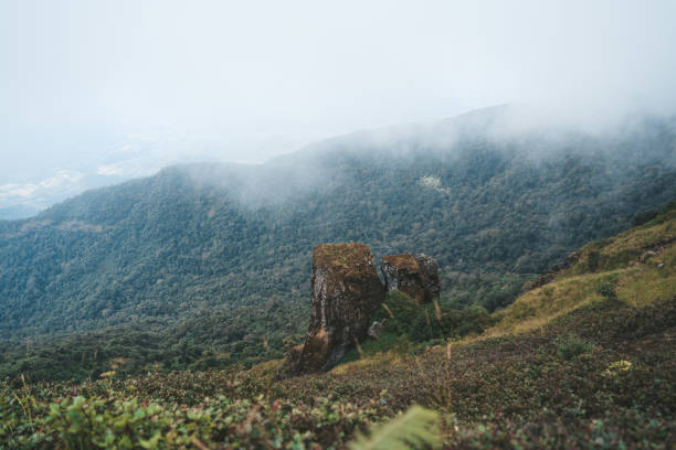 istock Landscape of clouds on a high viewpoint in Doi Inthanon park 1353232548