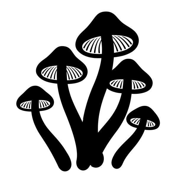 Magic mushrooms drawing vector art illustration