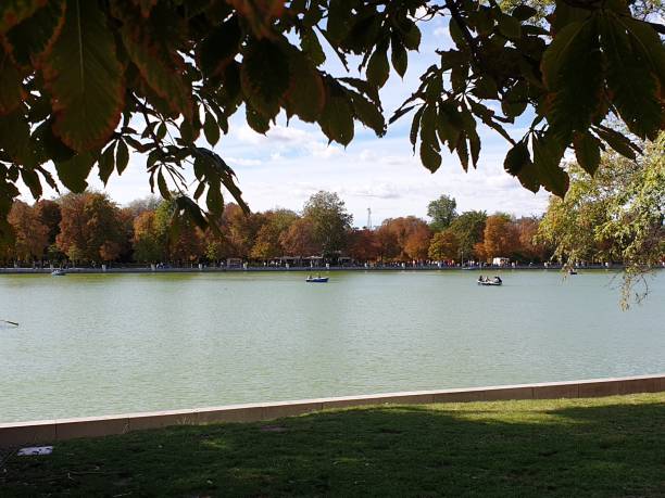 istock Autumn colors in park Madrid 1353235530