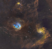 Tadpole & Flaming Star Nebula