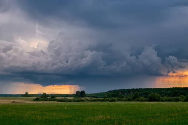 Natural rural summer landscape before thunderstorm. Field against stormy sky with dark clouds.