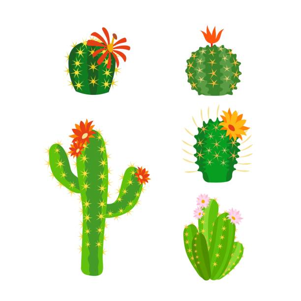 1,779 Yellow Cactus Flower Illustrations & Clip Art - iStock