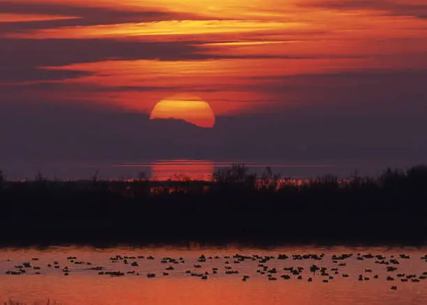 Sunset in the Po Delta in Italy