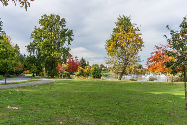 istock Autumn Lake Shoreline Colors 5 1353244016