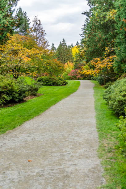 istock Washington Park Arboretum Autumn Path 12 1353244051