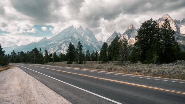 istock Grand Teton National Park Roadside 1353245630