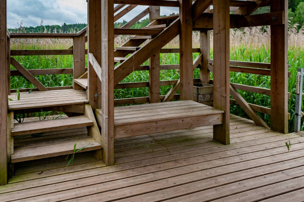 istock Close-up of staircase steps, outdoors. Boardwalk path leads to the  observation tower and a swampy lake. 1353249149
