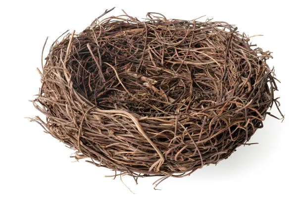 Isolated objects: empty birds nest, side view, on white background