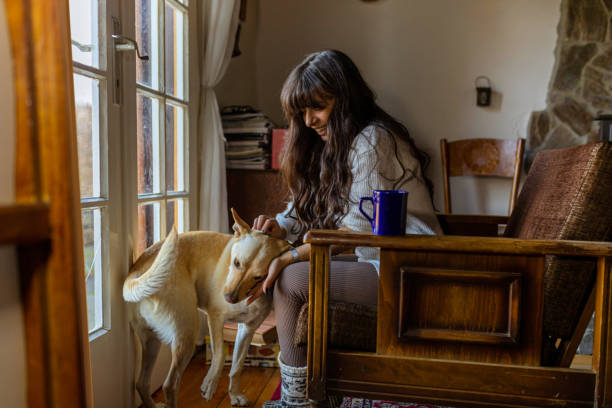istock Caucasian young woman petting her dog, while taking a break from reading a book 1353250902