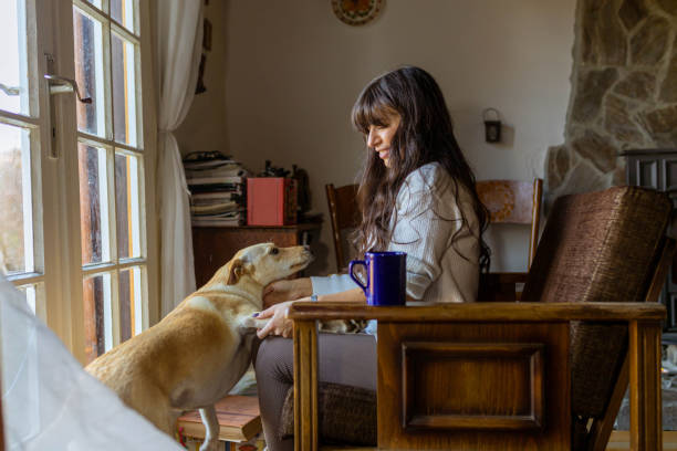 istock Serene and joyful woman petting her dog, while taking a break from reading a book 1353250908