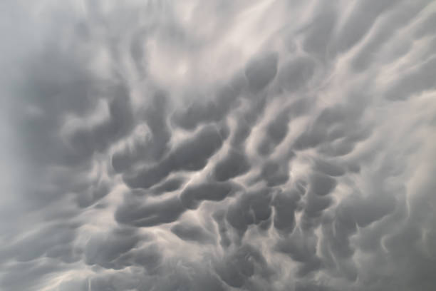 istock Dramatic sky with mammatus. Mastodontic cloud with altocumulus 1353253339