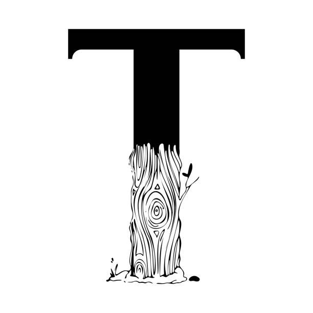 illustrations, cliparts, dessins animés et icônes de lettre majuscule t avec un tronc d’arbre et des branches dans le style des graphismes vintage en noir et blanc. - letter t tree typescript alphabet