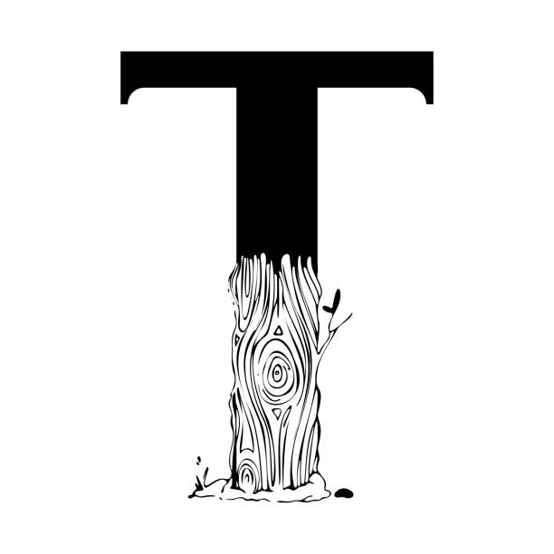 illustrazioni stock, clip art, cartoni animati e icone di tendenza di lettera maiuscola t con tronco d'albero e rami nello stile della grafica vintage in bianco e nero. - letter t letter a ornate alphabet