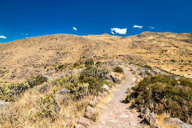 istock Hiking trail at the Colca Canyon in Peru 1353261360