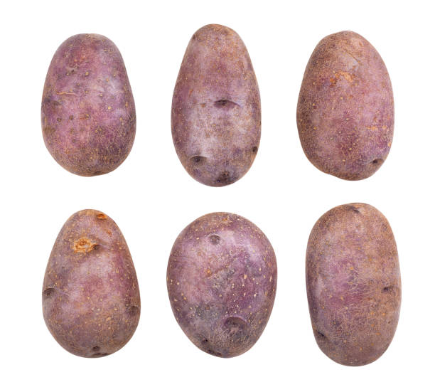 pomme de terre rouge - red potato isolated raw potato raw photos et images de collection