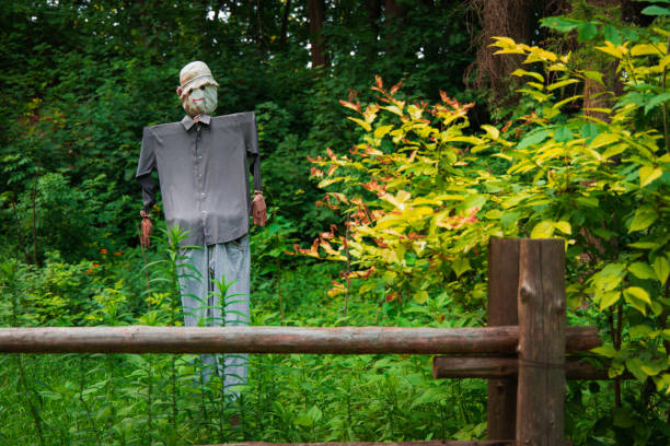 istock rural scarecrow object on garden place in summer sunny day 1353264443