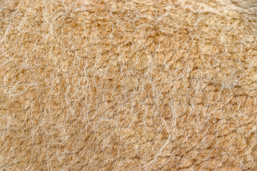 Light brown fluffy background of soft, fleecy cloth. Texture of woolen textile backdrop from soft wool material, macro. Fabric with pattern.