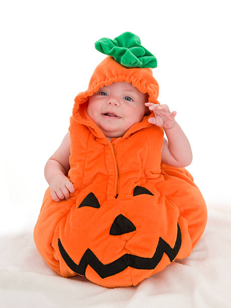 Pick of the Pumpkin Patch stock photo