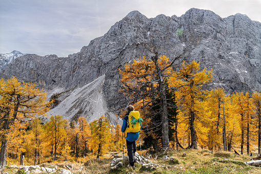 Senior man with a gray beard walks on the mountain Sleme under the mountain Jalovec,Gorenjska, Julian Alps, Slovenia, Europe