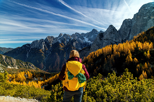 A mature woman walks and enjoys the golden colors on the Sleme mountain below the Jalovec mountain,Gorenjska, Julian Alps, Slovenia, Europe