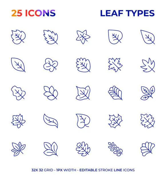 Vector illustration of Leaf Types Editable Stroke Line Icon Series