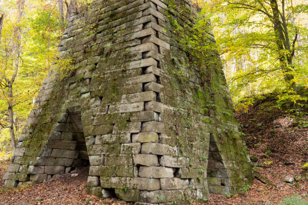 istock Iron Furnace in the woods 1353280691