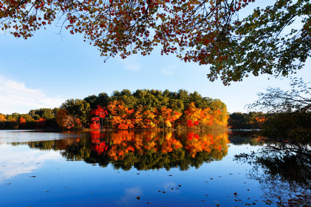 istock Beautiful New England Fall Foliage with reflections at sunrise, Boston Massachusetts. 1353282006