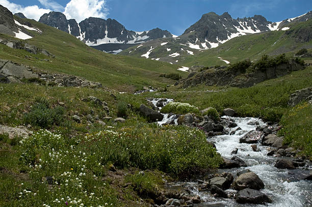istock Mountain Stream and Wildflowers 135328330