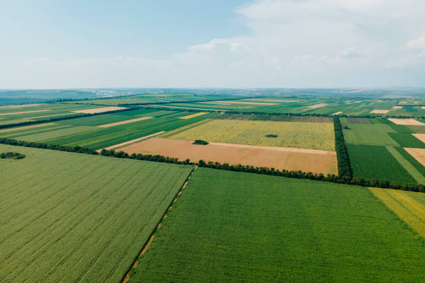 Top view aerial view of agricultural fields Top view aerial view of agricultural fields. Beautiful yellow and green fields farm land landscape pattern separated lines. cinematic music photos stock pictures, royalty-free photos & images