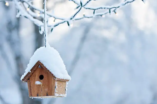 A birdhouse covered in snow with Christmas lights in the background.