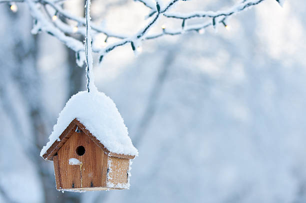 casa de pássaro no inverno - birdhouse imagens e fotografias de stock