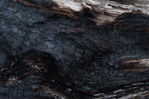 Black background, closeup of burned log